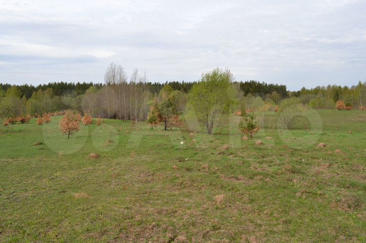 Участок 20 га (СНТ, ДНП)