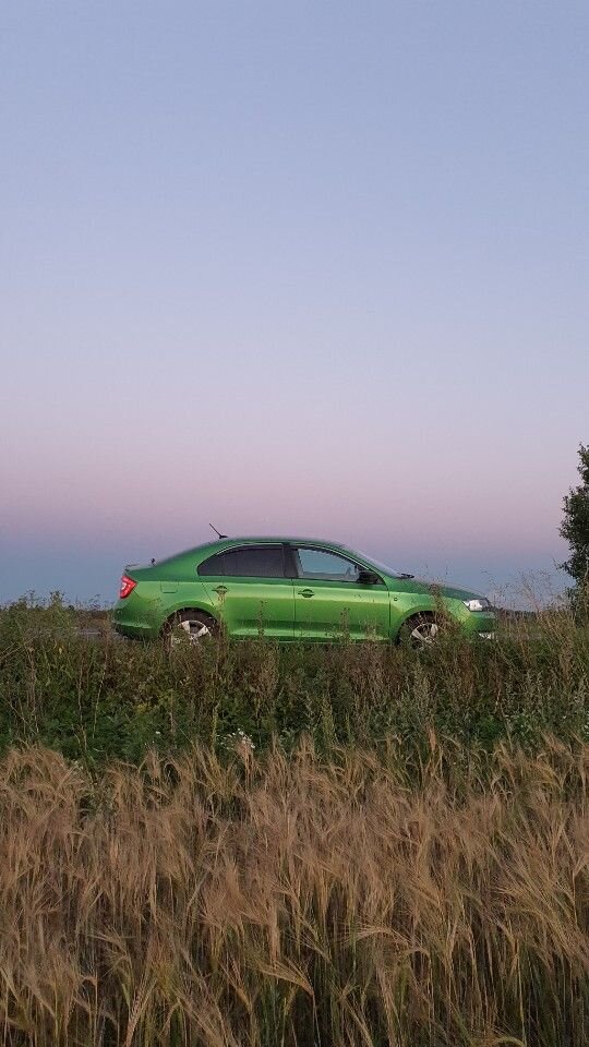 Skoda Rapid: фото владельца