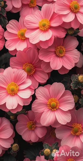 Чайные пары, сахарница Дулево СССР