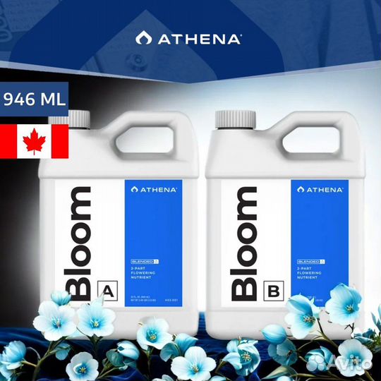 Athena Bloom A+B 946 мл