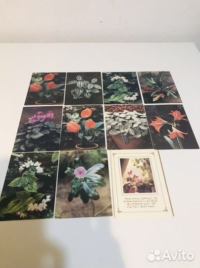 Разные открытки и календарики