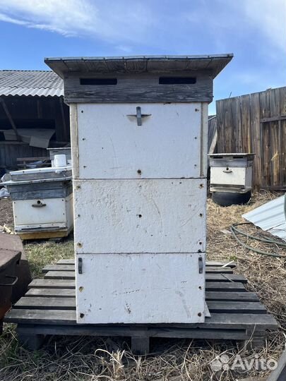 Продам пчелосемьи, Медогонку, Рамки