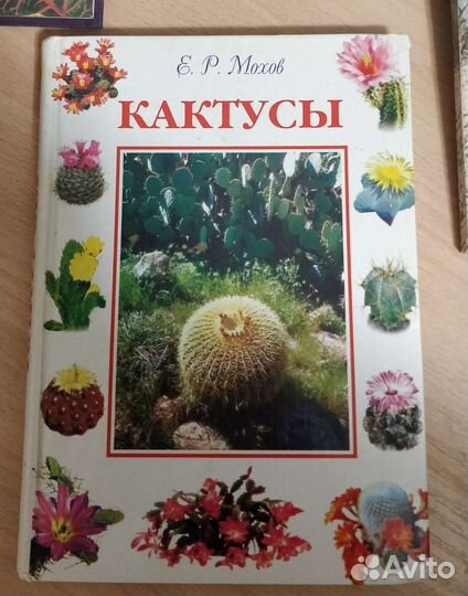 Книги цветоводство, кактусы