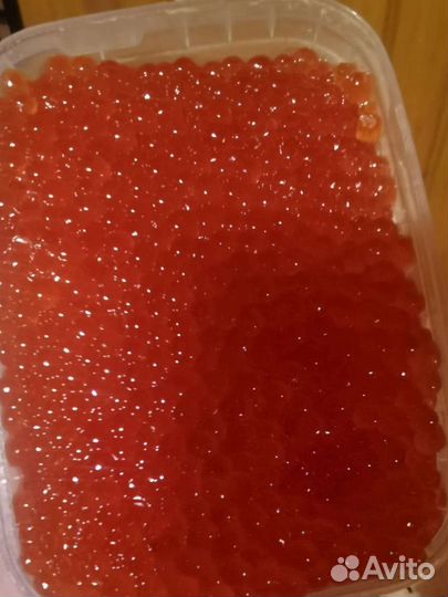 Икра горбуши этого года Владивосток