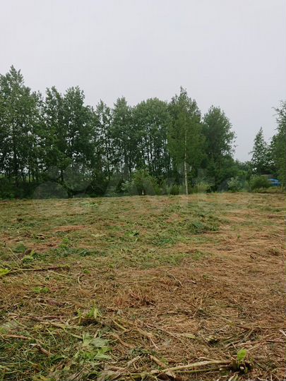 Участок 10 сот. (СНТ, ДНП)