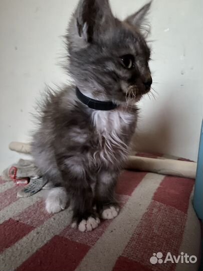 Мальчик в добрые ручки