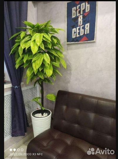 Искусственные деревья, пальмы для декора