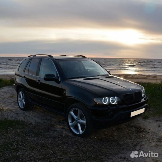 Светодиодные Ангельские глазки BMW X5 E53 Дорестай