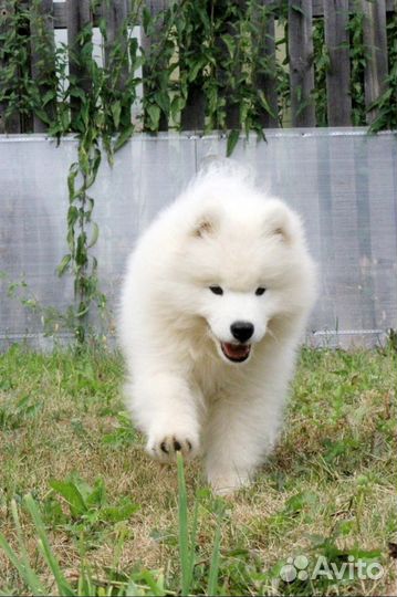 Super baby
