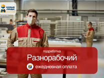 Разнорабочий подработка ежедневные выплаты Н002