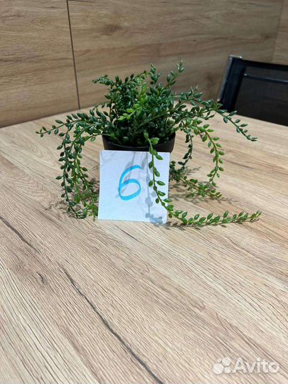 Искусственные цветы IKEA