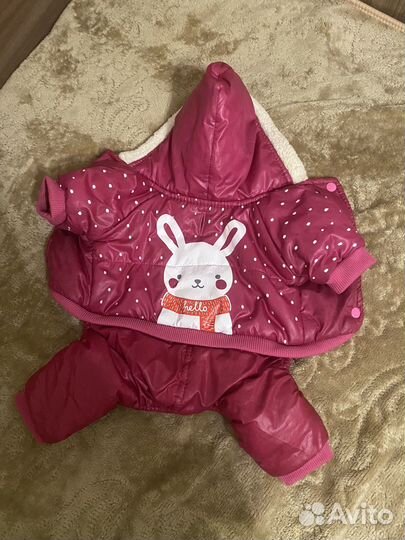 Одежда для маленьких собак