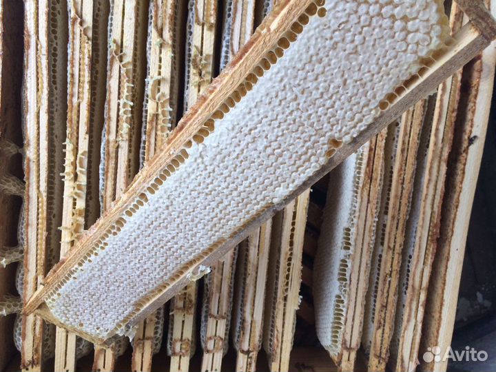 Свежий мед/ сотовый мёд 2023