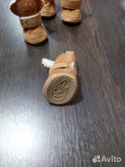 Обувь для маленькой собачки