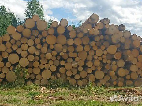 Лес кругляк пиловочник сосна ель