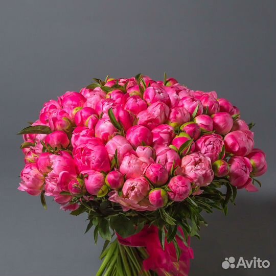 101 пион букеты