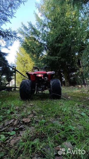 Irbis atv 110u