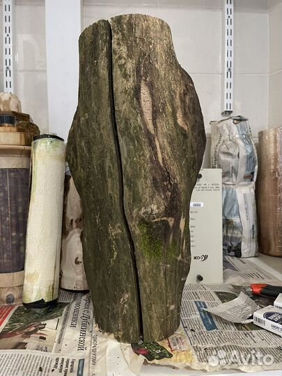 Каповый нарост вяза. Токарная заготовка