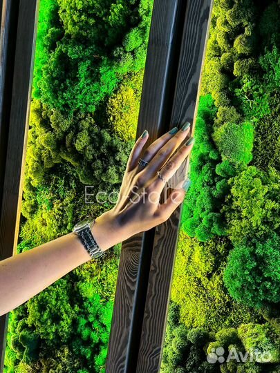 Композиция из панно со мхом 8 шт