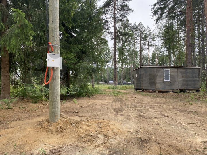 Участок 12,5 сот. (СНТ, ДНП)