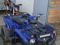 Yamaha grizzly 300