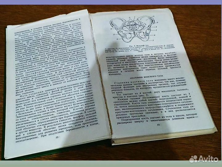 Акушерство и гинекология Кретова Смирнов