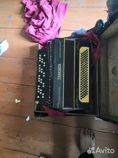 Баян Травиата