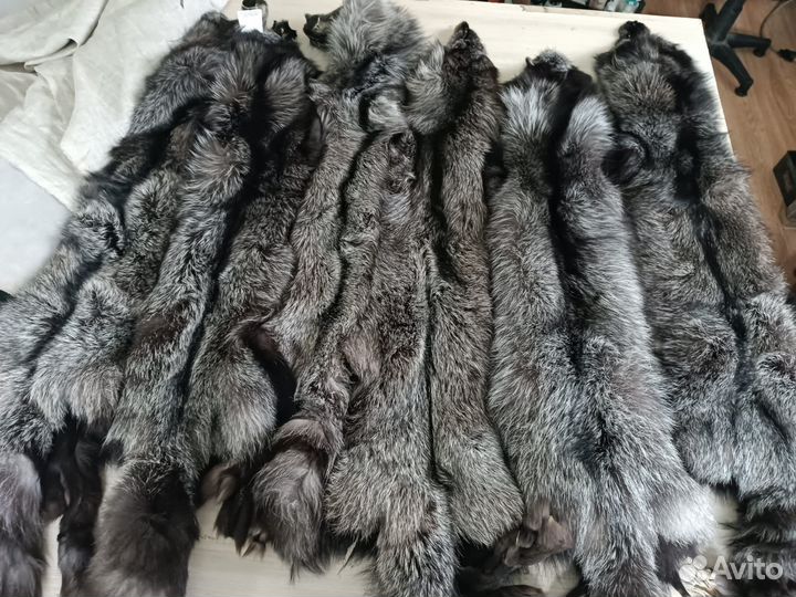 Шкура чернобурки