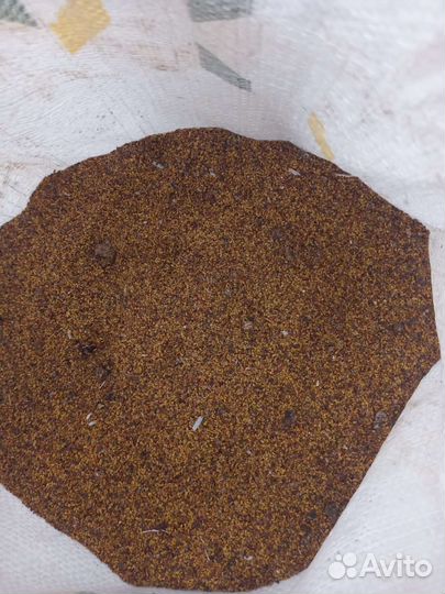 Семена люцерна