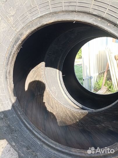 Продаются шины на комбайн