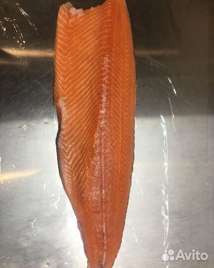 Лосось форель оптом