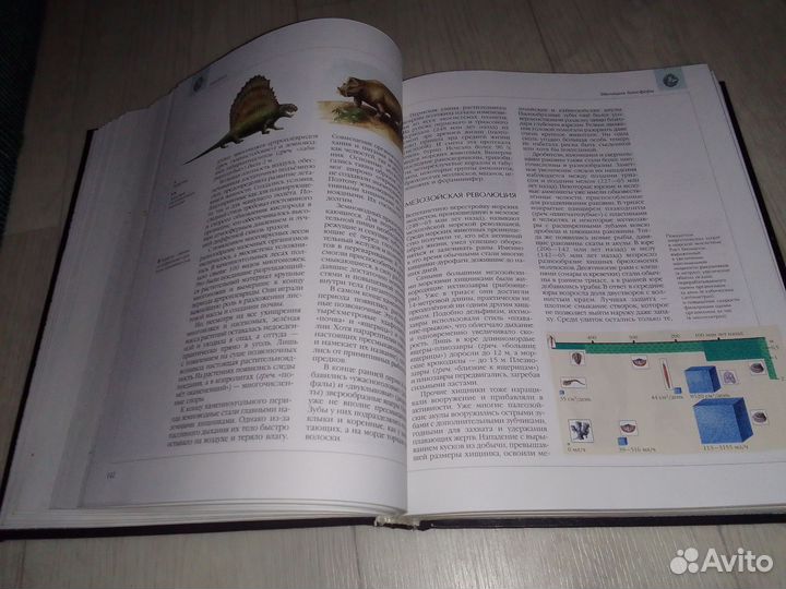 Книга. энсиклопедия