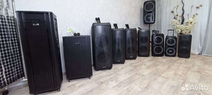 Акустика Eltronic