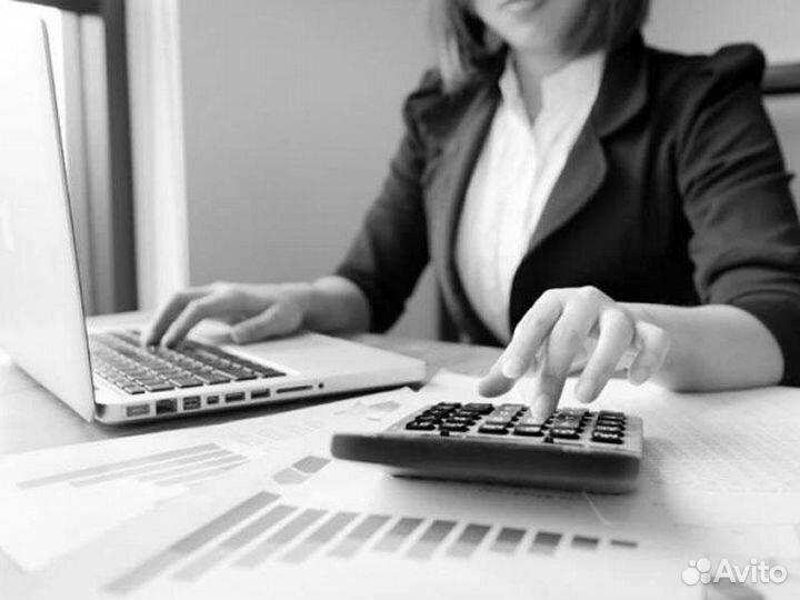 Бухгалтер ревизор