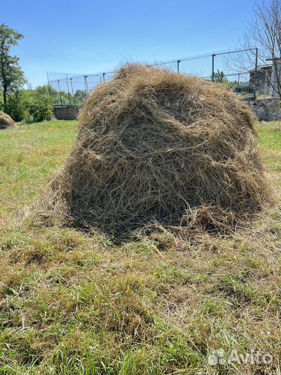 Сено отдам в хорошие руки. Самовывоз. Рыкань