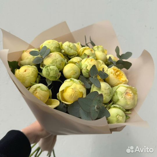 Букет из роз / 201 роза