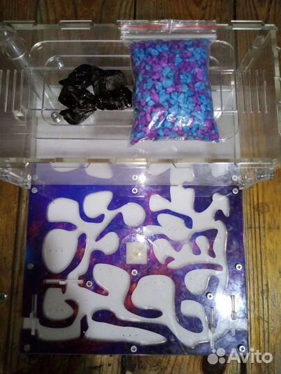 Формикарий (муравьиная ферма)