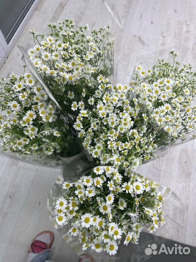 Букет из ромашек, доставка цветов