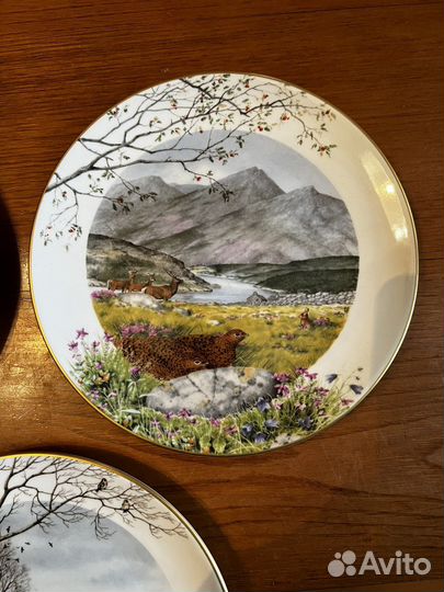 Настенные тарелки. Royal Worcester. Англия