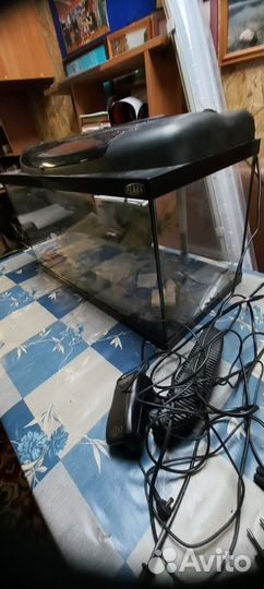 Аквариум домашний