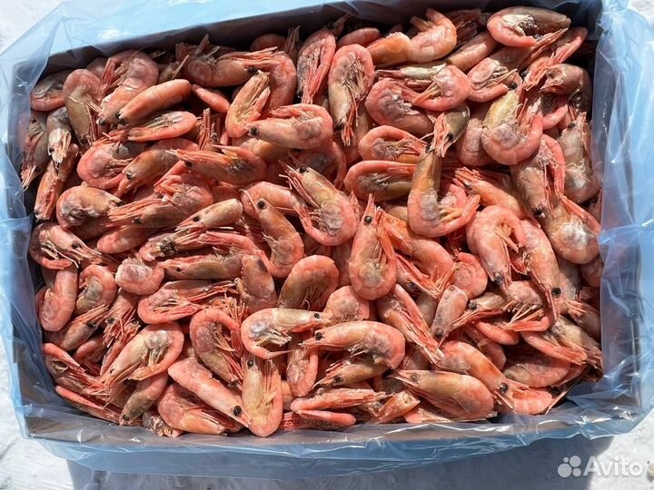 Креветка Северная 80-100
