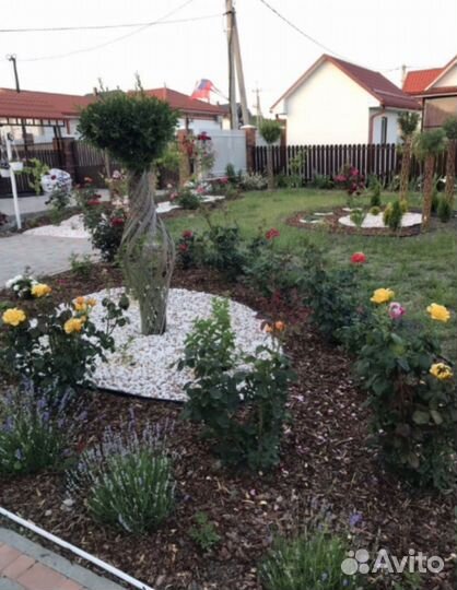 Плетённые Деревья, Русская пальма, ивы