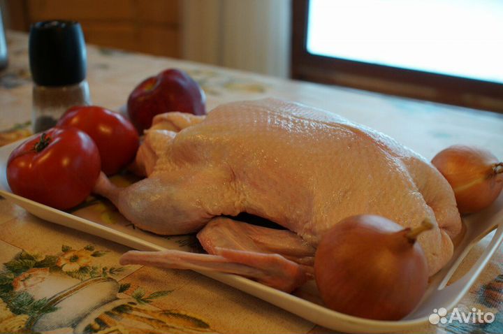Мясо утки мулард
