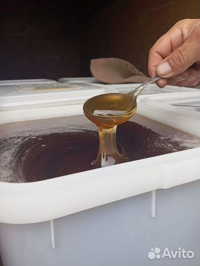 Мед с Горного Чарыша