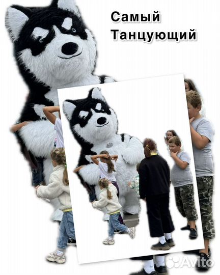 Белый мишка Пушкин Поздравление