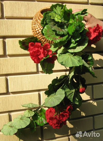 Цветы декор Герань