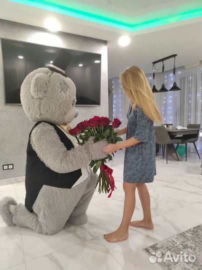 Ростовые Супер Жорик, Лейла, мишка Тедди