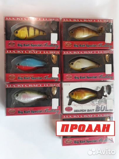Lucky craft Big Bait Special - Bulldog