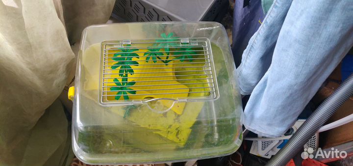 Террариум для черепахи