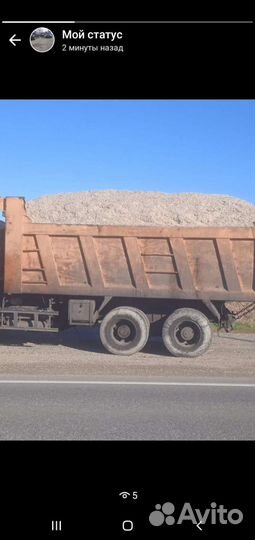 Жом свекольный